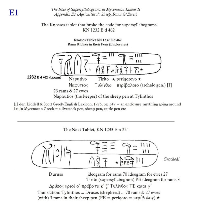 Slide E1. Image may be copyrighted.